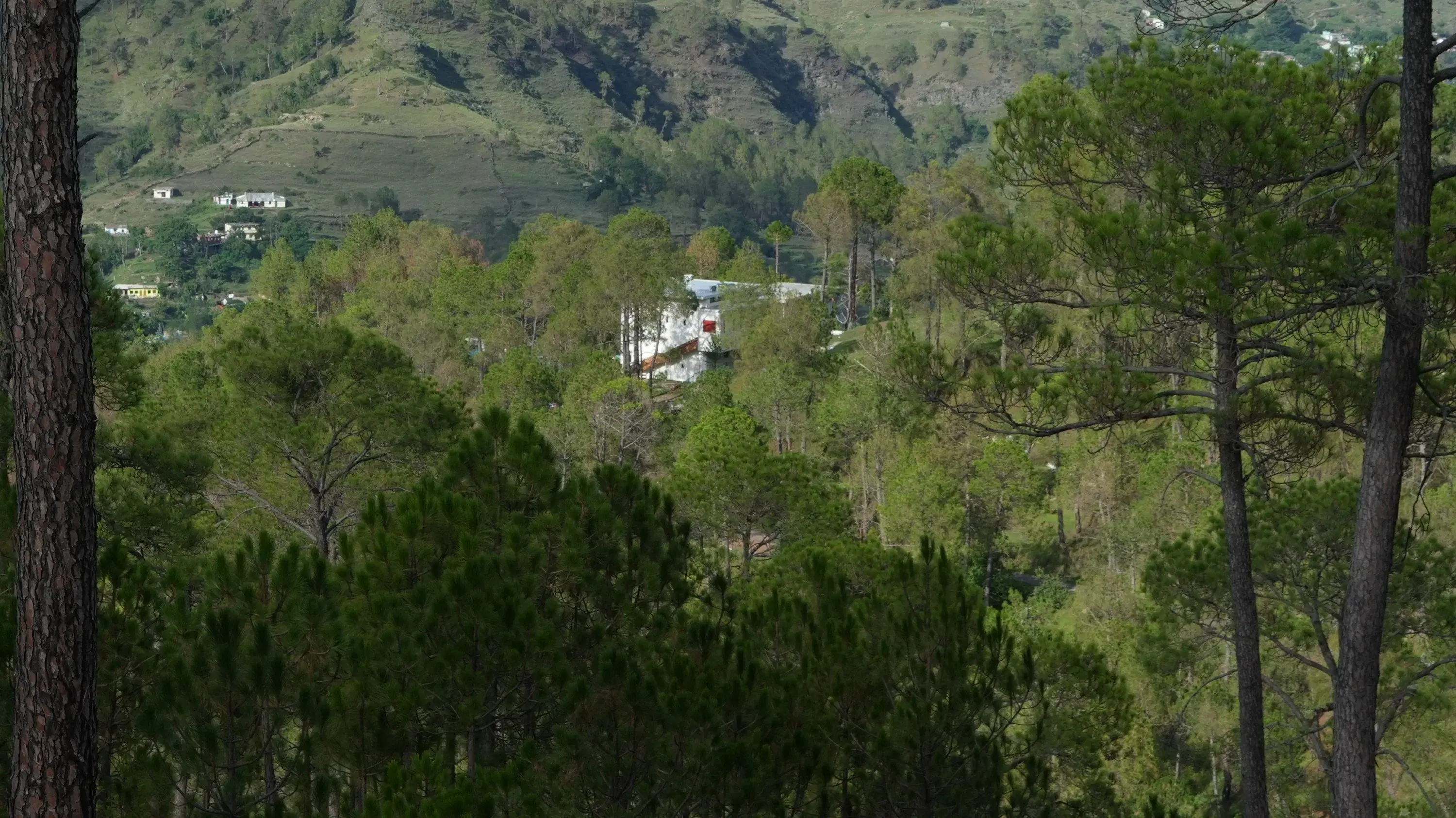 Sukoon Landing Site